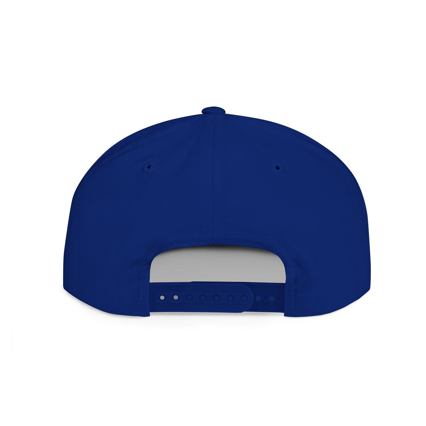 Acting Up Embrodered TGV - Flat Bill Snapback
