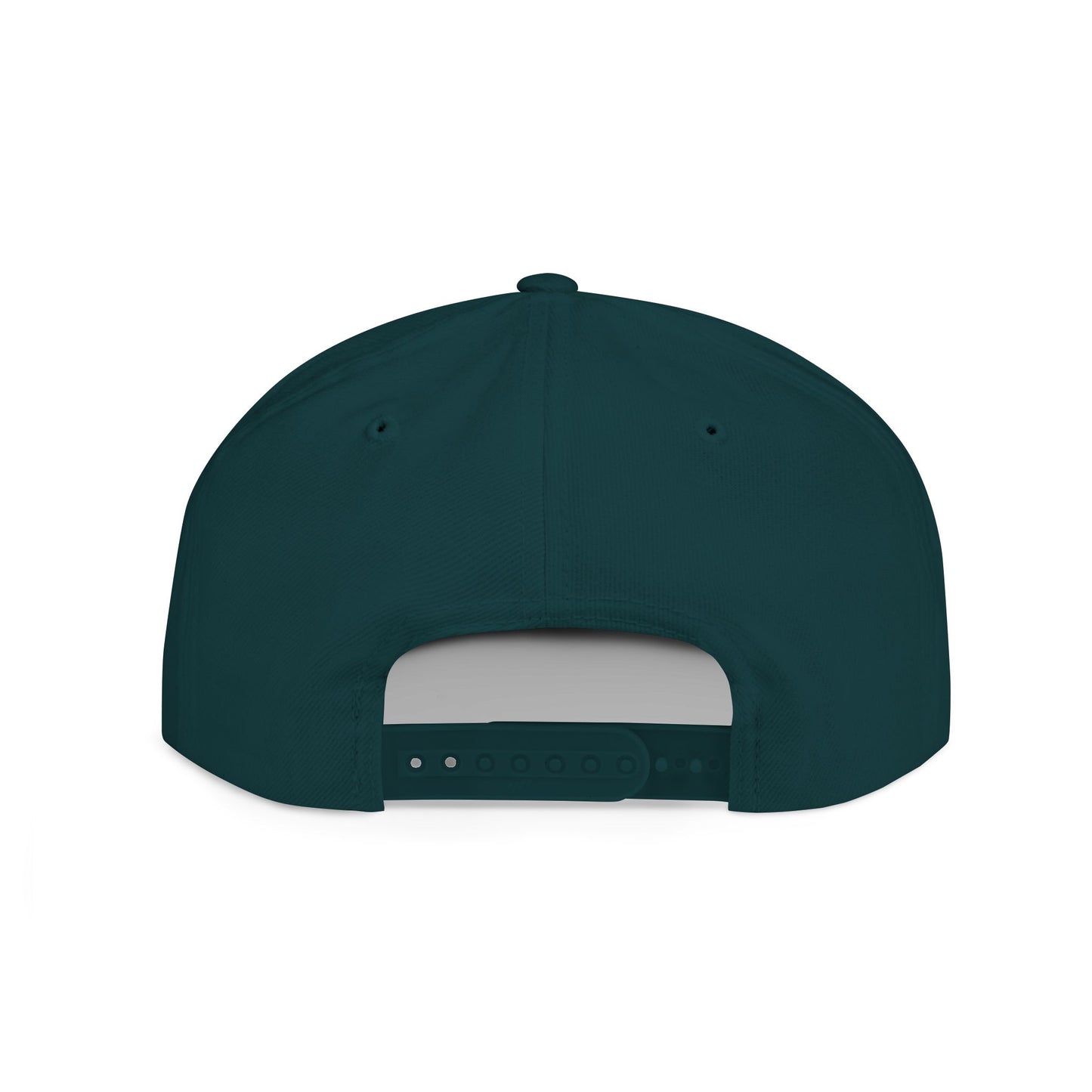 Acting Up Embrodered TGV - Flat Bill Snapback